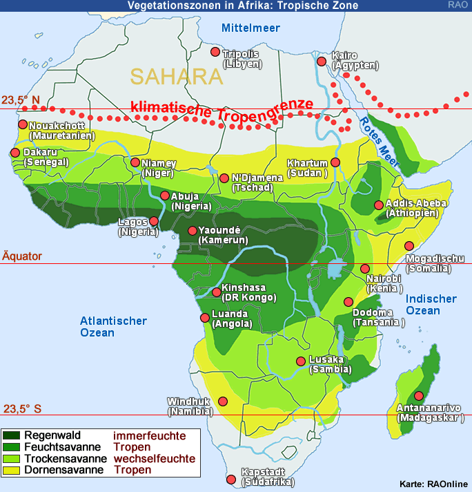 RAOnline EDU: Klima Afrika - Vegetationszonen - Regenwald