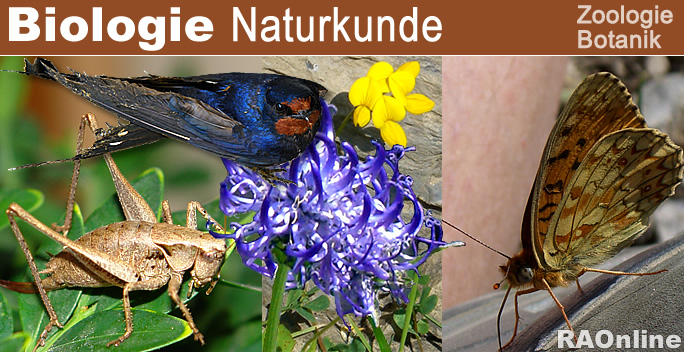Schweizer Fauna und Flora